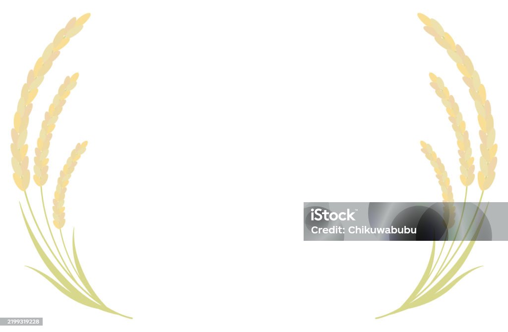 Frame Rice File Png Rice Rice Frame Vector Illustration Simple Copy Space New Rice Stock ...