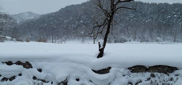 istock VH560-000Landscape1.JPG 2199319527