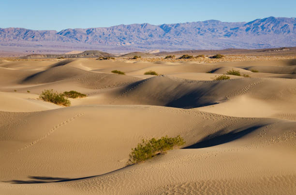 istock Mesquite Flat Sand Dunes, Death Valley National Park 2199324404