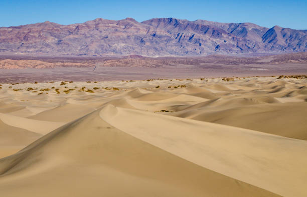 istock Mesquite Flat Sand Dunes, Death Valley National Park 2199324492