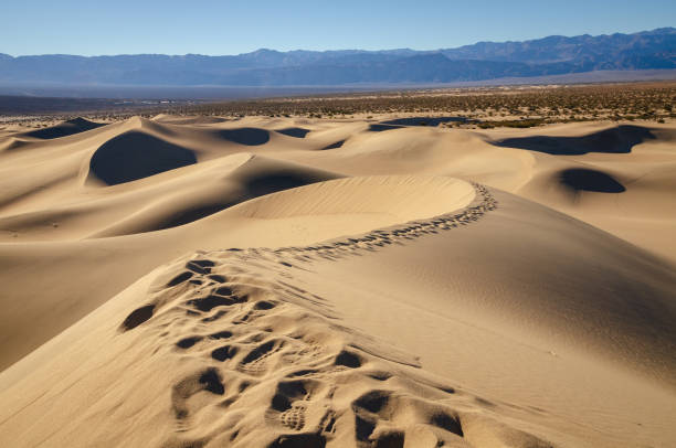 istock Mesquite Flat Sand Dunes, Death Valley National Park 2199324515