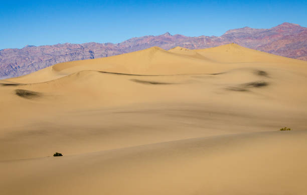 istock Mesquite Flat Sand Dunes, Death Valley National Park 2199324664
