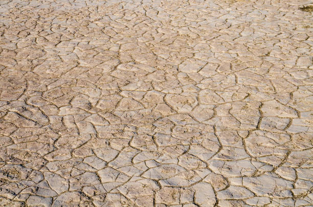 istock Salt Flat at Mesquite Flat Sand Dunes, Death Valley National Park 2199324710