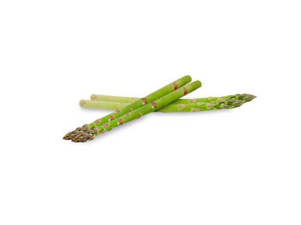 istock Asparagus officinalis or garden asparagus shoot 2199325399