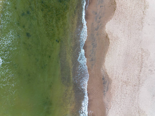 istock Baltic sea waves rolling on sandy shore, top view. Sea background 2199327699