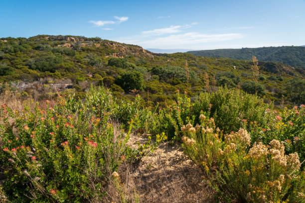 istock Hilly Vistas at Fort Ord National Monument 2199329814