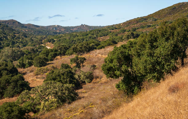 istock Hilly Vistas at Fort Ord National Monument 2199330214