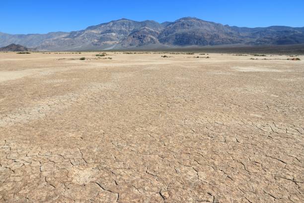 istock Mojave Desert landscape in California 2199332626