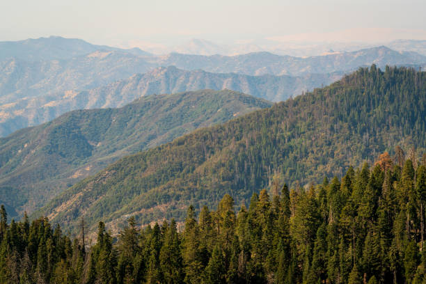 istock Forest Fire Smoke over Giant Sequoia National Monument 2199333368