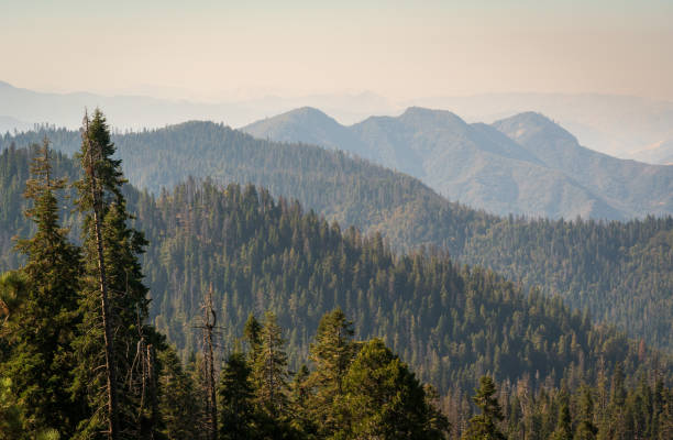 istock Forest Fire Smoke over Giant Sequoia National Monument 2199333393