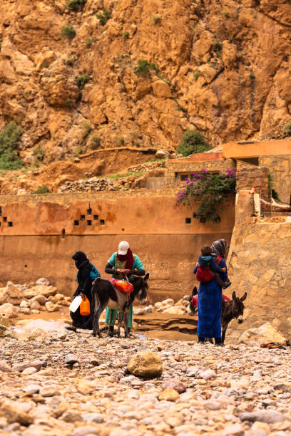 Todra Gorges, Tinghir. Morocco - October, 19, 2024. Berber women and children gather water from a shallow stream in a remote rocky settlement, accompanied by donkeys. Their traditional clothing and daily routines reflect the resilience and adaptability of their nomadic lifestyle.