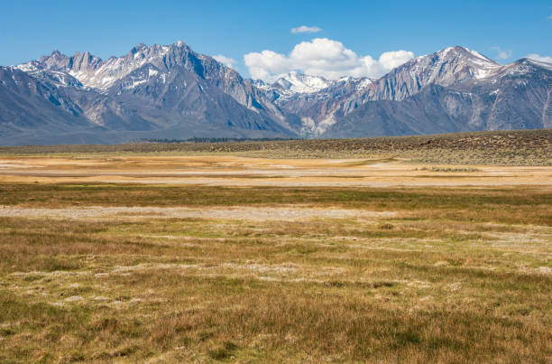 istock Mountainous Landscape at Inyo National Forest 2199339756