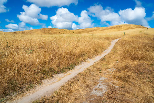 Fort Ord National Monument, California