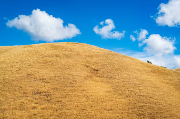 Hill in autumn colors and plants against blue sky. Bosnia and Herzegovina