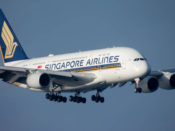 A Singapore Airlines Airbus A380-841 plane, registration 9V-SKY, landing from the south on the main runway of Sydney Kingsford Smith Airport as flight SQ221 from Singapore. This image was taken from Mill Stream Lookout, Botany Bay on a hot, sunny and windy morning on 13 February 2025.