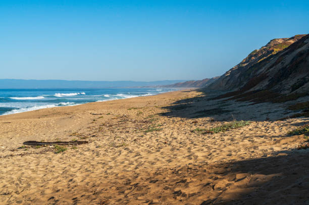 istock The Beach at Fort Ord State Park in Monterey 2199346832