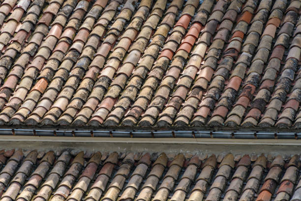 Old tile roof. Nimes, France