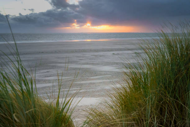 istock Sunset at the North Sea, view from the dunes over the sandy beach 2199364047