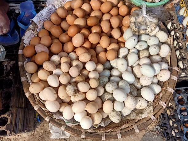 istock Many eggs in a basket for sale. 2199364263
