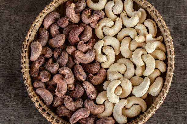organic cashew nuts in cambodia farm