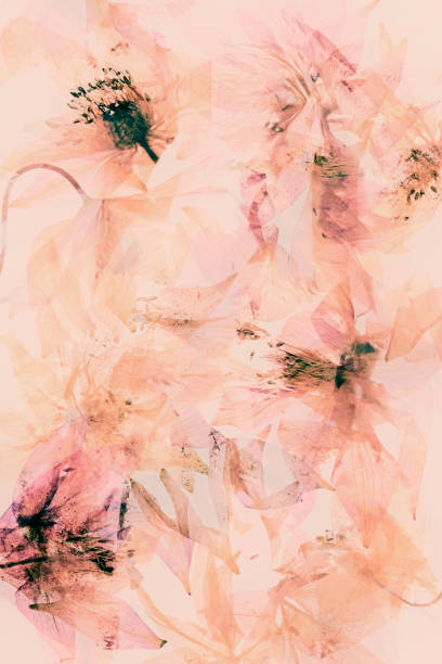 istock beautiful  bright pink red flowers in double exposure 2199371059
