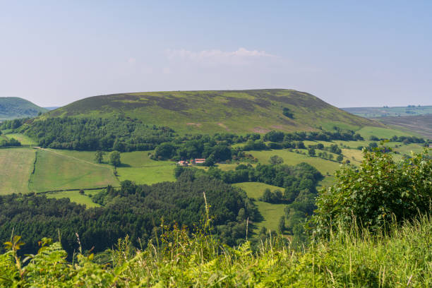 istock North Yorkshire landscape Near Laskill, England, UK 2199373224