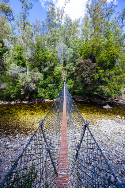istock Frenchmans Cap Suspended Bridge in Tasmania Australia 2199373951