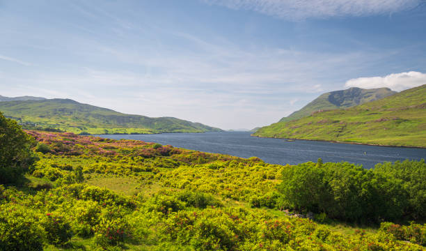 istock Panoramic views in Connemara National Park. County Galway, Ireland. 2199374877