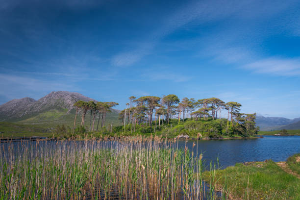 istock Panoramic views in Connemara National Park. County Galway, Ireland. 2199374908