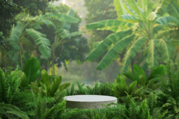 istock minimal concrete podium table top with outdoors in tropical forest nature background.natural product pedestal modern stand display,jungle paradise concept. 2199376332
