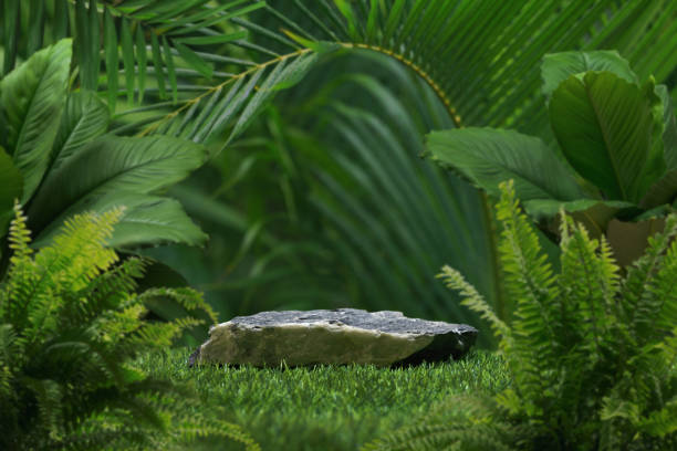 Stone tabletop podium floor outdoors in tropical forest nature background.natural product present pedestal rock stand display,jungle paradise concept.