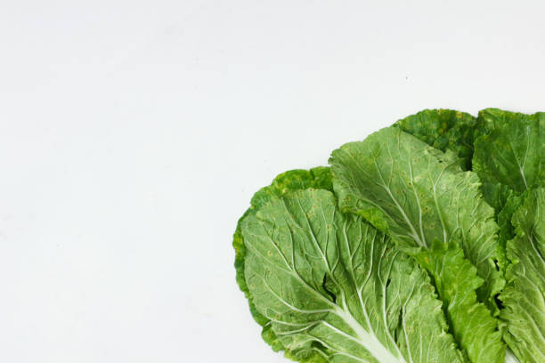 Close-up of vibrant green bok choy leaves arranged on a clean white background.