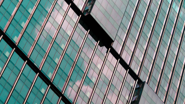 Reflections of light and shadow interplay with architectural symmetry, offering a contemporary visual rhythm.