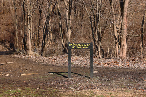 istock No swimming sign in a forested area 2199384046