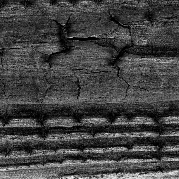 istock High angle view of a flat textured wooden board backgrounds. 2199384188