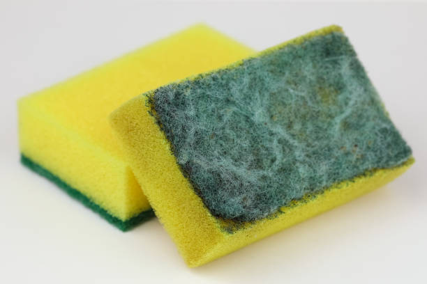 istock A new sponge and a used and dirty sponge 2199385451
