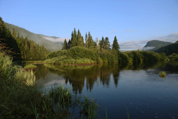 istock Peaceful River Flowing Around Pine Trees Covered Island in Dense Canadian Forest 2199386422