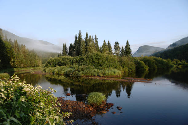 istock Peaceful River Flowing Around Pine Trees Covered Island in Dense Canadian Forest 2199386469