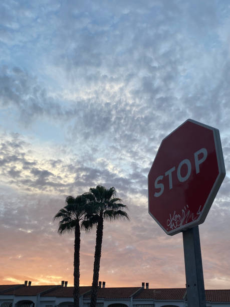 istock stop sign with sunset and palm trees in the background 2199393086