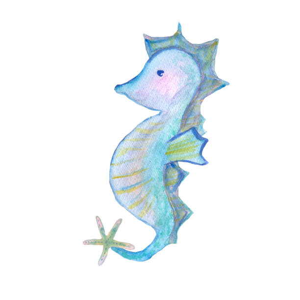 istock sea horse sea ocean element watercolor illustration isolated on white background base for textile tableware design stickers postcards banners. 2199395876