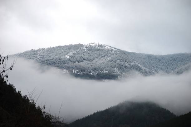 hill in snow and fog in winter