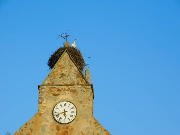 Clock on the church tower with the stork