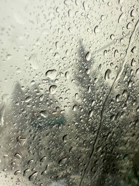 istock Blurred Rainy Window View of a Snowy Forest 2199402839