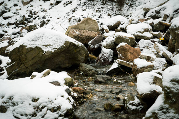 River, forest, winter, nature, mountains, river in forested mountains in winter