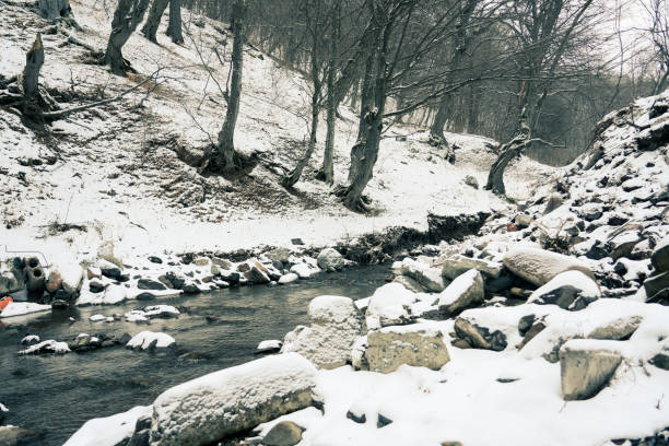 River, forest, winter, nature, mountains, river in forested mountains in winter