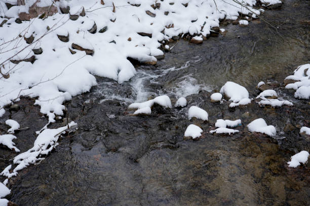 River, forest, winter, nature, mountains, river in forested mountains in winter