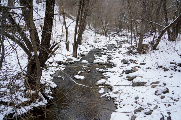 istock River, forest, winter, nature, mountains, river in forested mountains in winter 2199407155