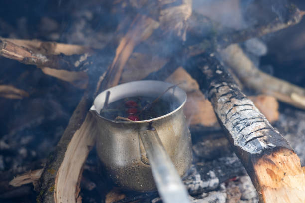 istock Tea, campfire, rose hips, winter, nature, mountains, tea with rose hips on a campfire in winter nature 2199407529