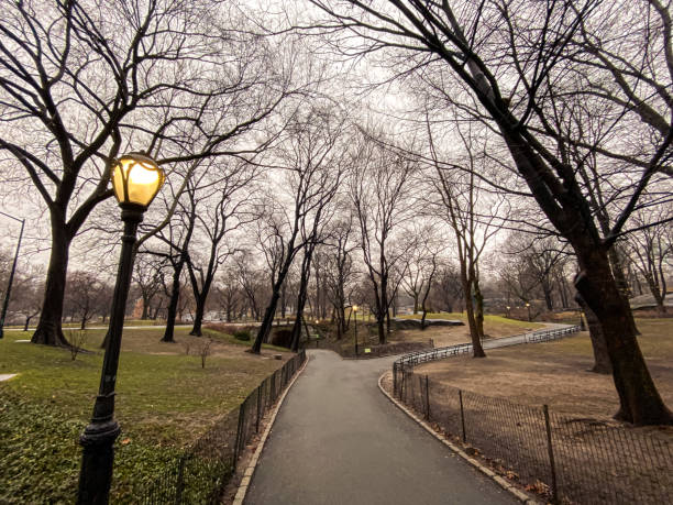 Scenic winter landscape in Central Park