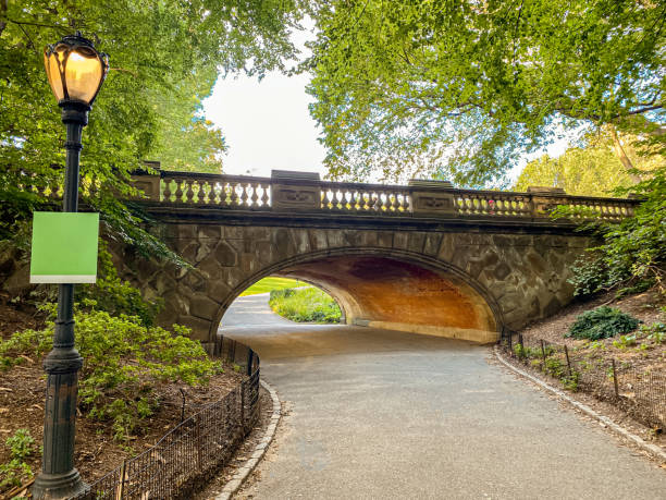istock Scenic walk through Central Park, New York City, surrounded by lush greenery and iconic pathways. 2199409571
